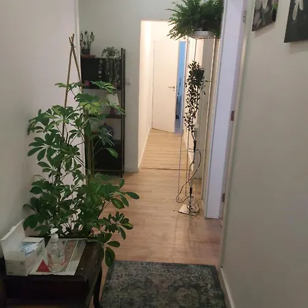 D&n Hostel